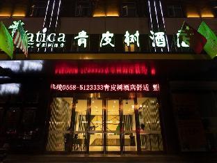 Vatica Bozhou City Railway Station Hotel