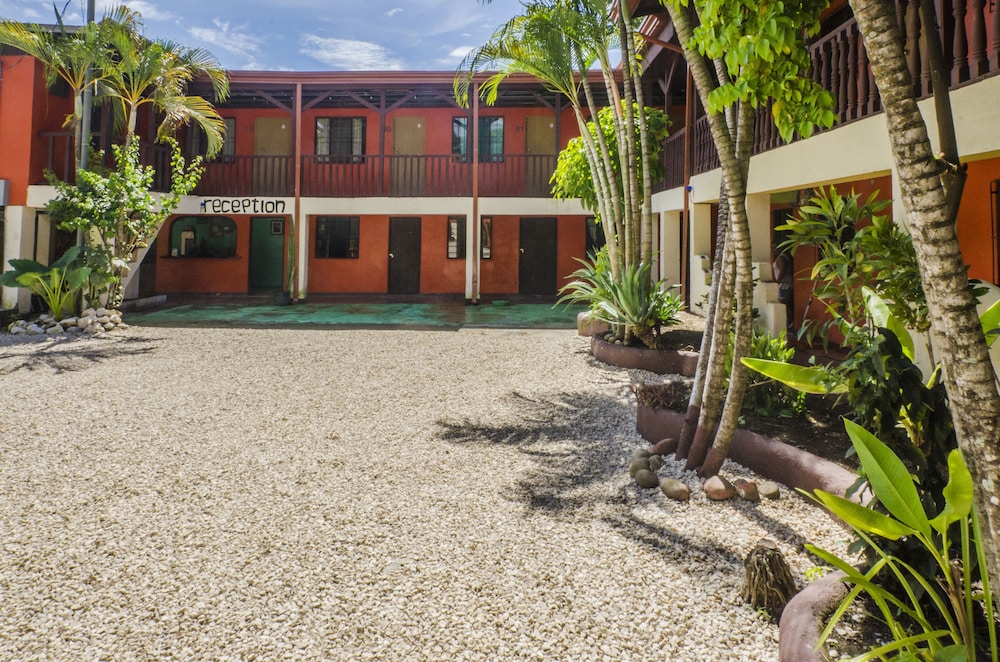 Blue Iguana,Javilla>>Guanacaste,2.5 star
