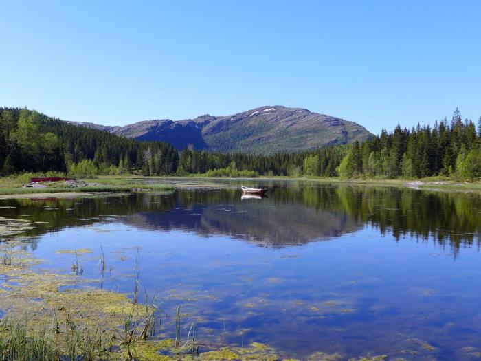 Velfjord Camping & Hytter,,3.5 star