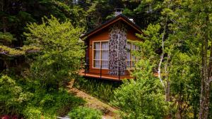 los pinos cabanas y jardines