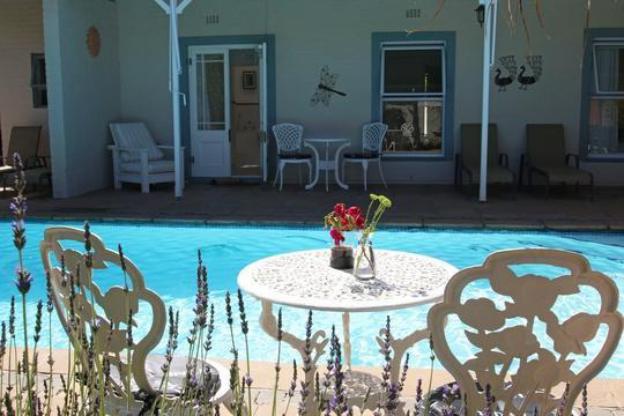 Paradiso Guest House,Cape Town>>Bergvliet,4 star