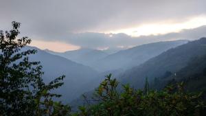 vamoose magnolia homestay