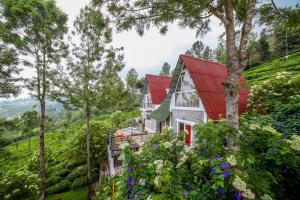 Chalet In Tea Gardens,Kotagiri>>Coonoor,4 star