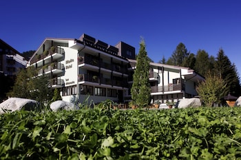 Hotel Alaska,Dimaro Folgarida>>Dimaro,3 star