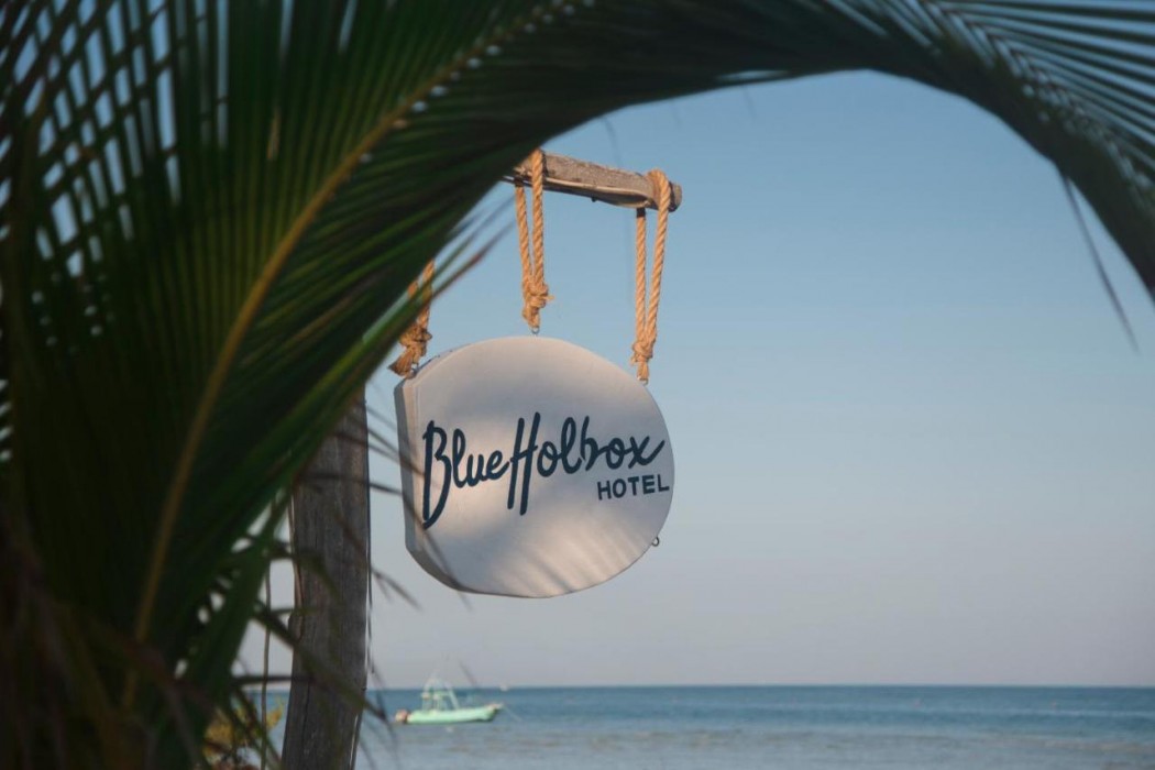blue holbox