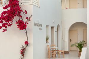 Kokoon,Livadia>>Krotiri,2.5 star