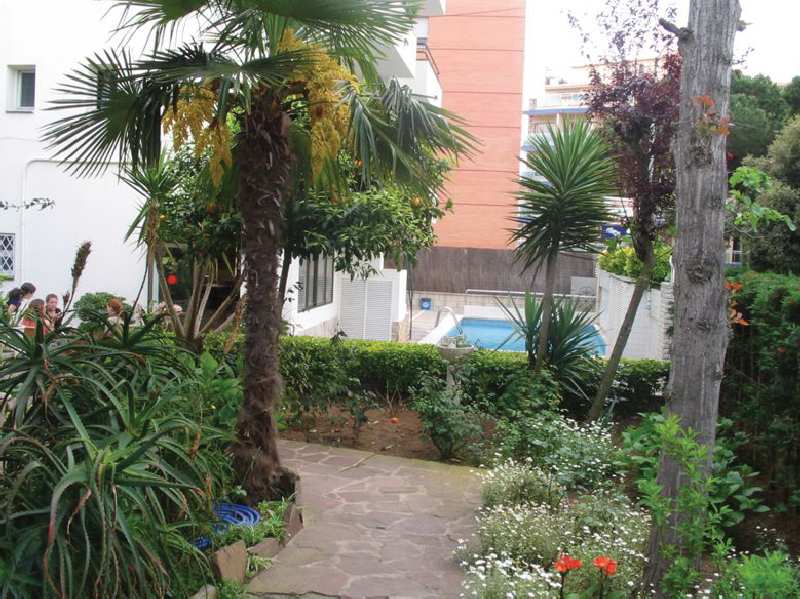 hostal magnolia