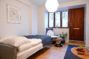 cozy one bedroom apartment on the ground floor in copenhagen sterbro