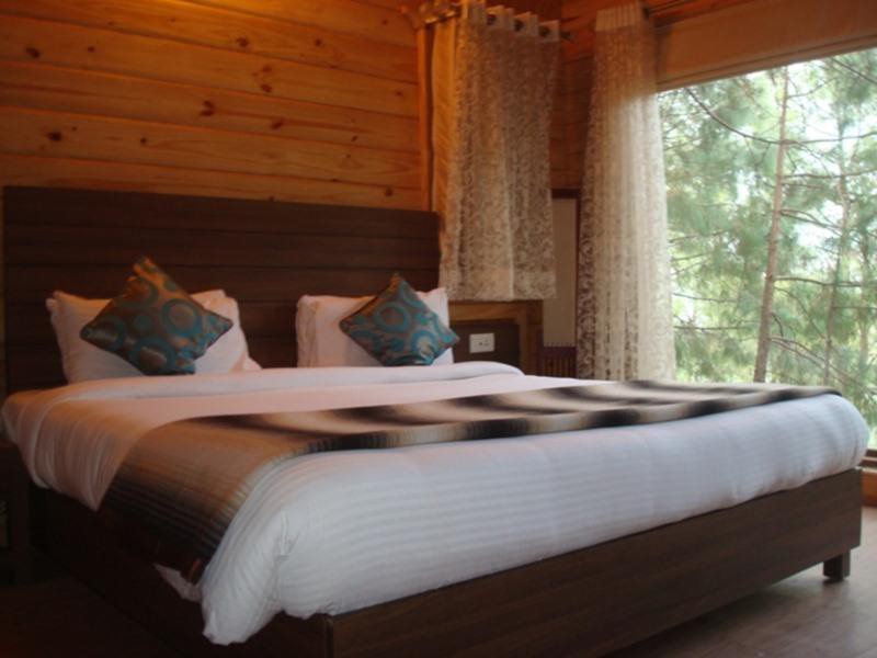 kasauli hills resort