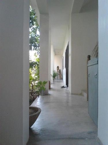Shantidevi Ashram 'S Guest House,Bodhgaya>>Bodh Gaya,3 star