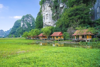 lotus field homestay