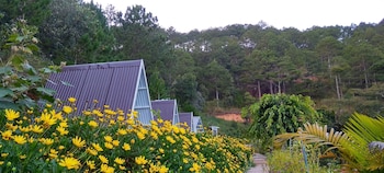 tuyet hoa hon bo bungalow
