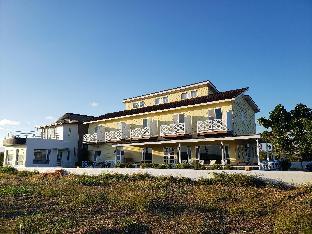 the jungle house
