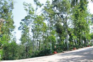 Kingmaker's Plantation With River Stream,Madikeri>>Kodagu,3 star