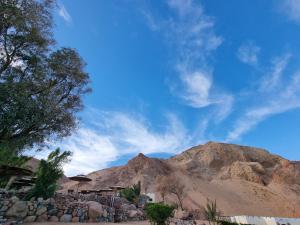 bedouin moon hotel