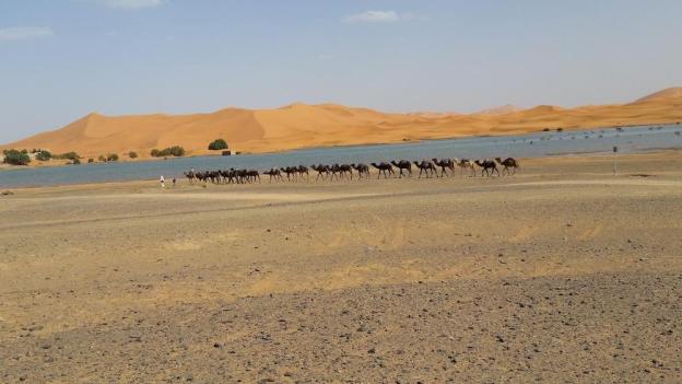 Morocco Deluxe Camp Assif N Itrane