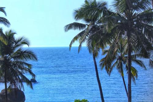 Hilltop Seaview Palolem Goa,Canacona>>Agonda,0 star