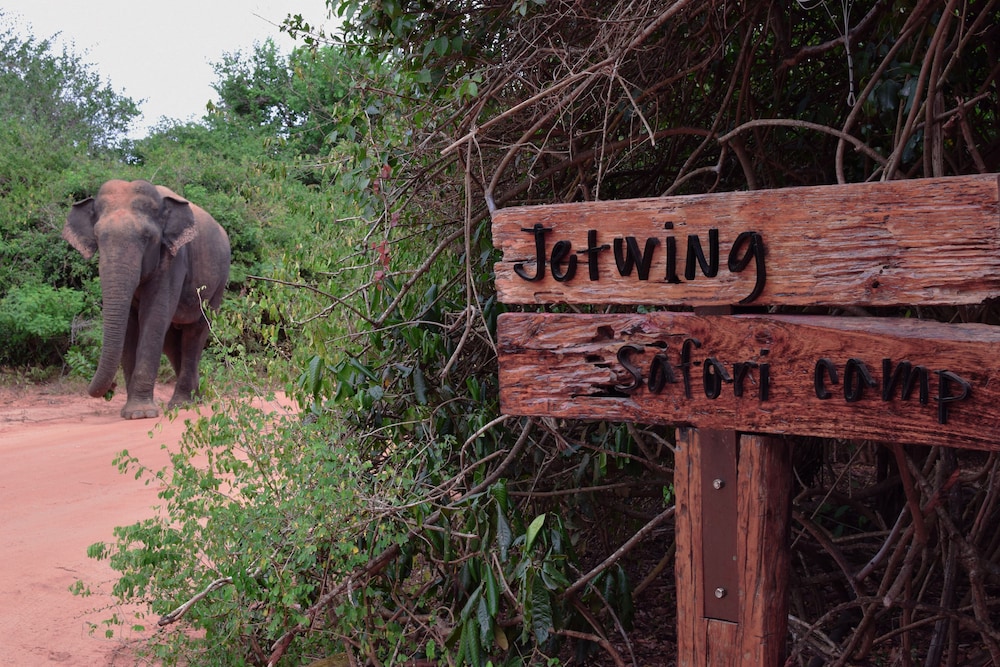 jetwing safari camp