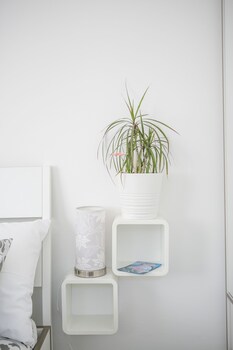 Modern Living In The Heart Of Trogir,,0 star