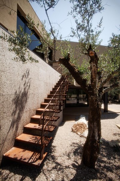 The Nest By Cooking And Nature,Fatima>>Alvados,3 star