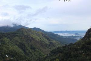 Amado Homestay Ella,,5 star