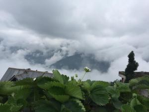 Benus,India>>Darjeeling,3 star