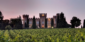 Chateau Des Fines Roches,Bedarrides>>Avignon,4 star