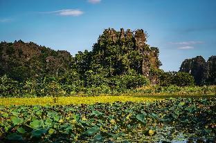 tam coc cocoon homestay