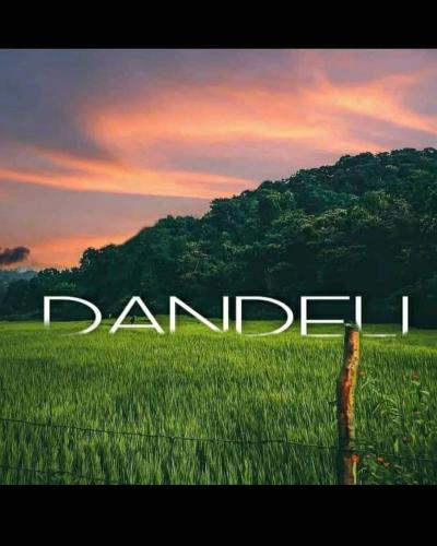 dandeli stay shree