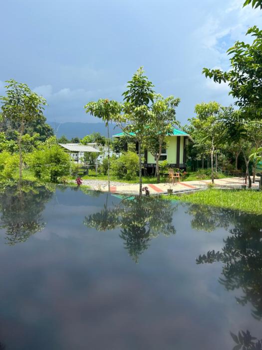 The Deer Meadows,Mudumalai>>Masinagudi,0 star