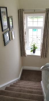 the ring pub bed and breakfast