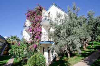 yel holiday resort all inclusive