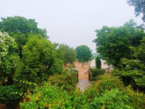 Jawai Nature Stay,Ranakpur>>Bisalpur,0 star