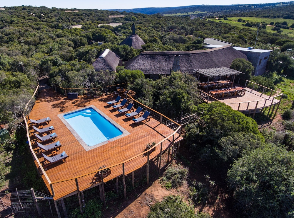 woodbury tented camp amakhala game reserve