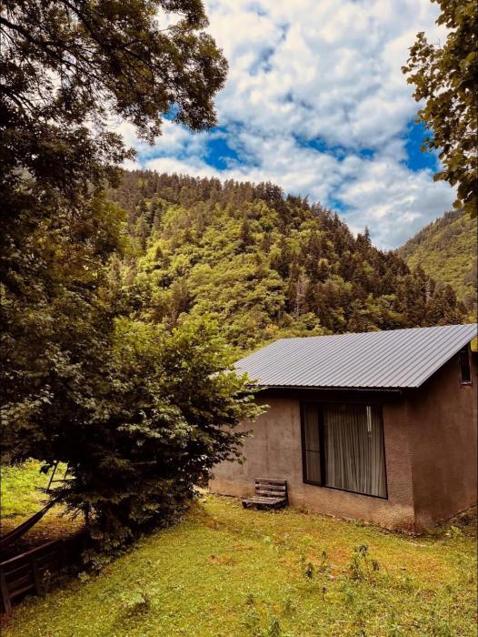 Cozy House In The Forest,Sadgeri>>Borjomi,3 star
