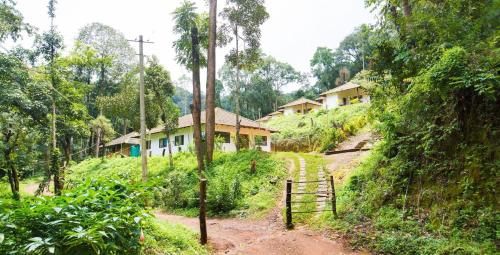 Room In Lodge - The Nest Bettathur, Coorg Ct 004,India>>Madikeri,3 star