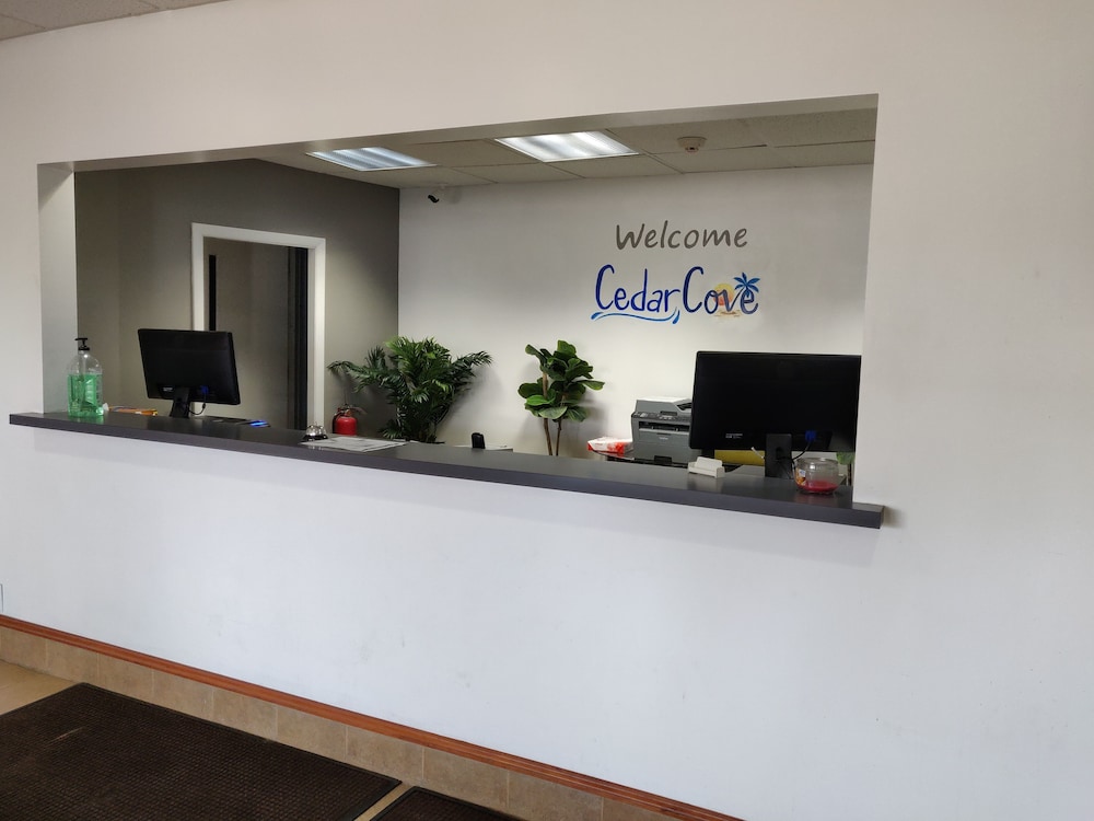 cedar cove