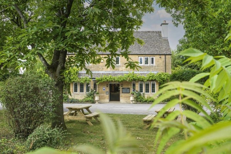 The Vines
