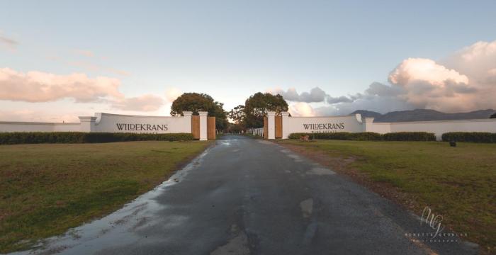 Endless Vineyards At Wildekrans Wine Estate,,3.5 star