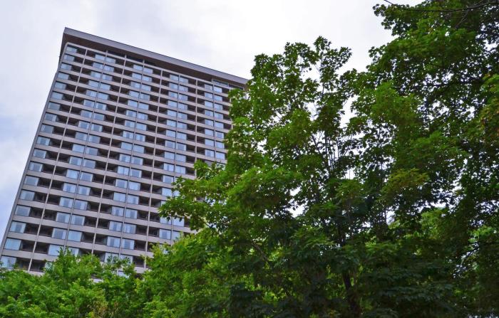 chestnut residence campus accommodation