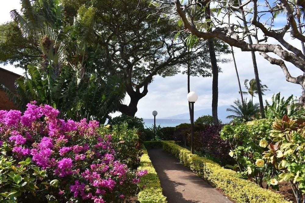 Kuleana 613 1 Bdrm 1 Bedroom Condo By Redawning,,4 star
