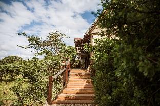 Bush Lodge (Amakhala Gr),,5 star
