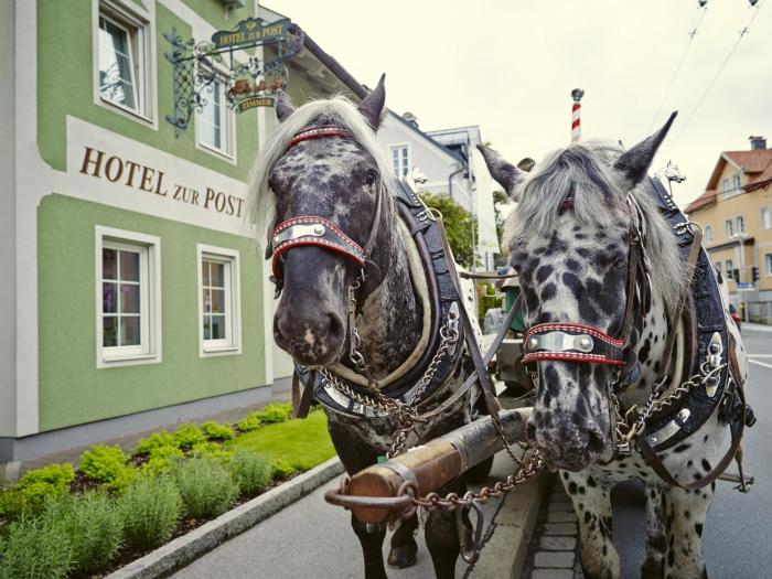 holiday apartments by das grune hotel zur post