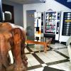 Aparthotel Area,,3 star
