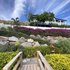 Sunset Reef St.Kitts,Nevis>>Basseterre,4.5 star