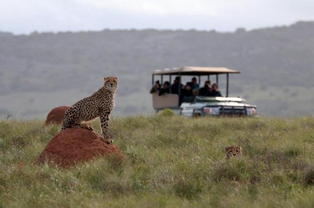 Bukela Game Lodge Amakhala Game Reserve,,5 star