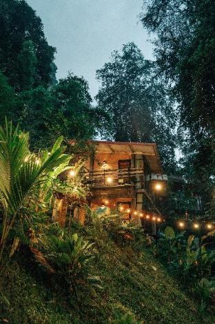 Bee Forest,,2 star