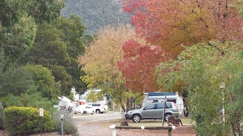 breeze holiday parks halls gap