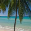 Villa Beach Cottages,Choc>>Castries,3 star
