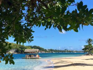 young island resort